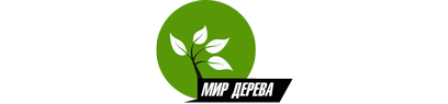 Мир дерева